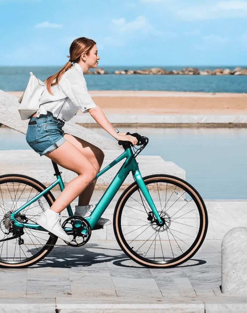 Fiido E-Gravel C22-Step Through - Kelstar - Electric Bikes And Scooters