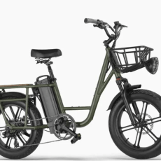 FIIDO T1 pro Electric Cargo Bike v2 2023 edition