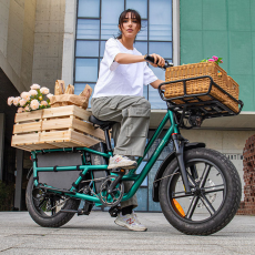 Electric Cargo Bike